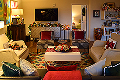 THE MARTIN FOR THE HOLIDAYS